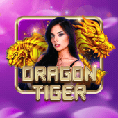 Dragon Tiger table game